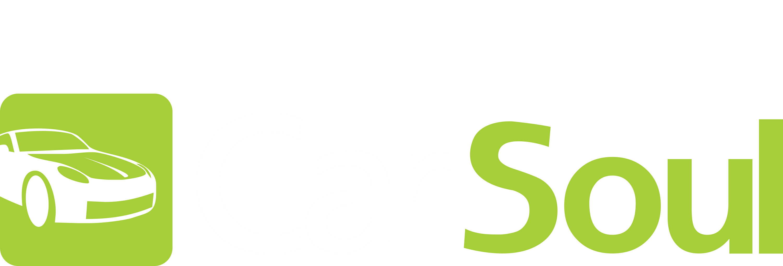 Logo CarSoul - branco e verde